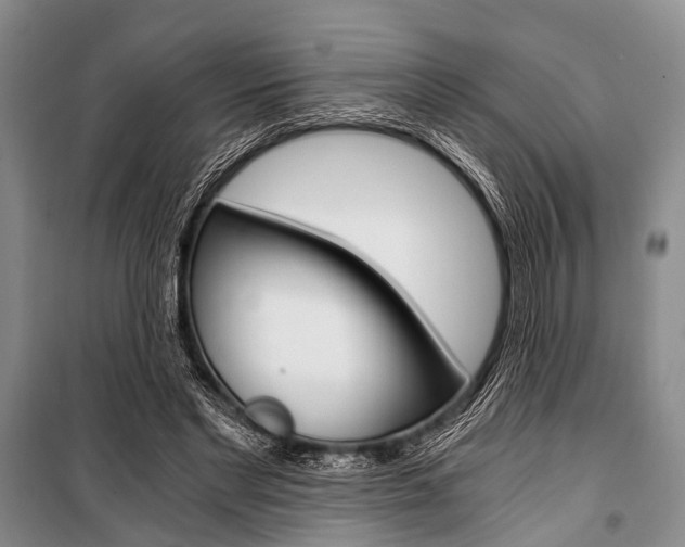 X0000101110493200806261112