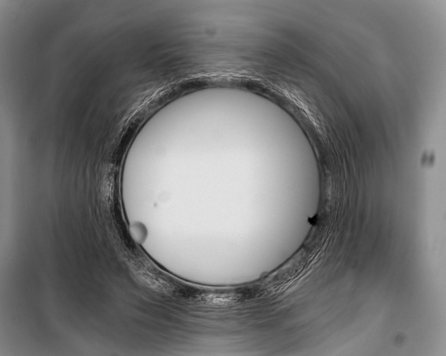 X0000101110495200806261112