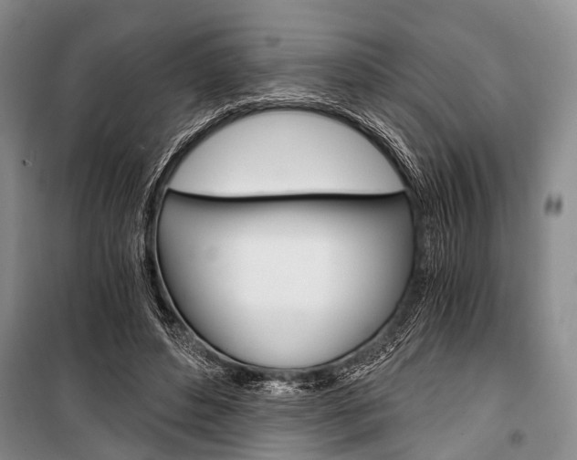 X0000101110496200806261112