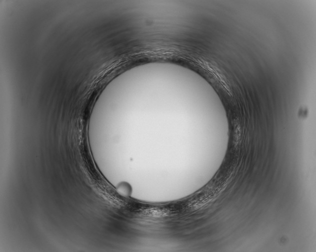 X0000101110498200806261112