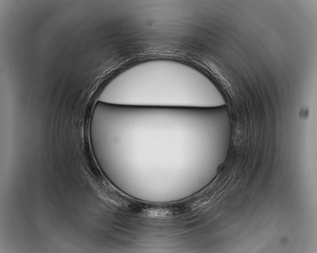 X0000101110500200806261112