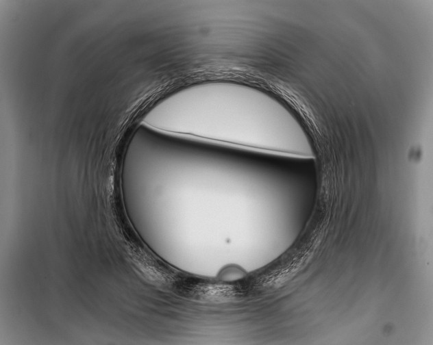 X0000101110501200806261112