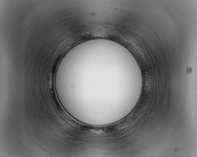 X0000101110502200806261112