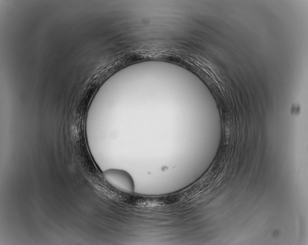X0000101110503200806261112