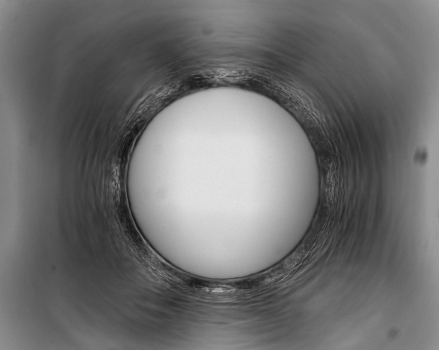 X0000101110506200806261112