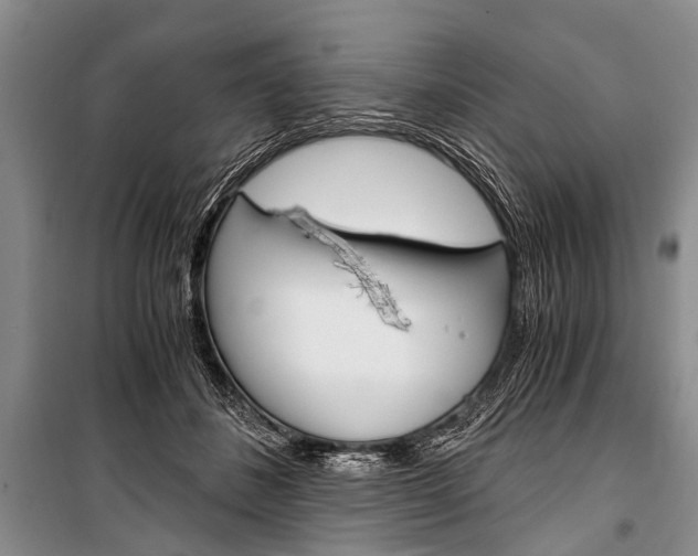 X0000101110508200806261112
