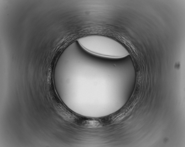 X0000101110509200806261112