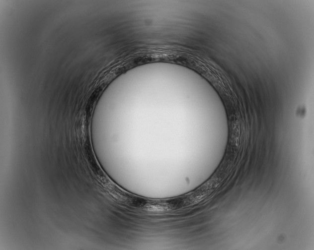 X0000101110510200806261112