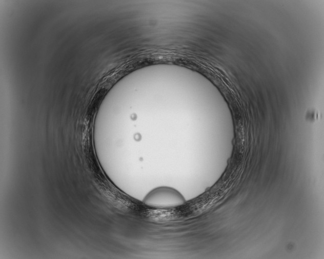 X0000101110511200806261112
