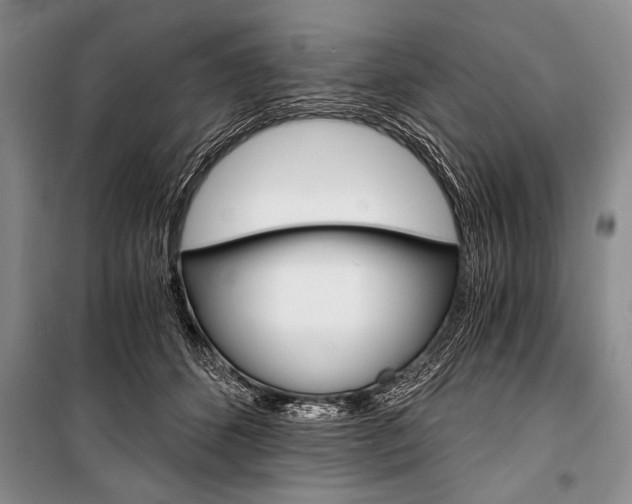 X0000101110512200806261112