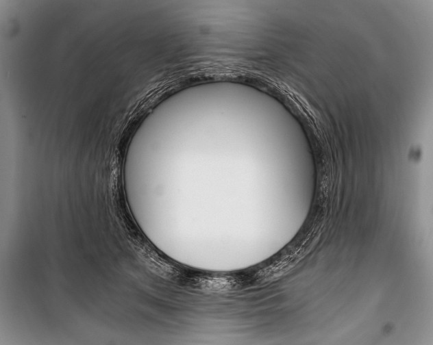 X0000101110513200806261112