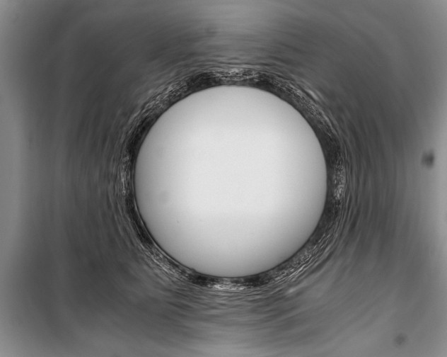 X0000101110515200806261112