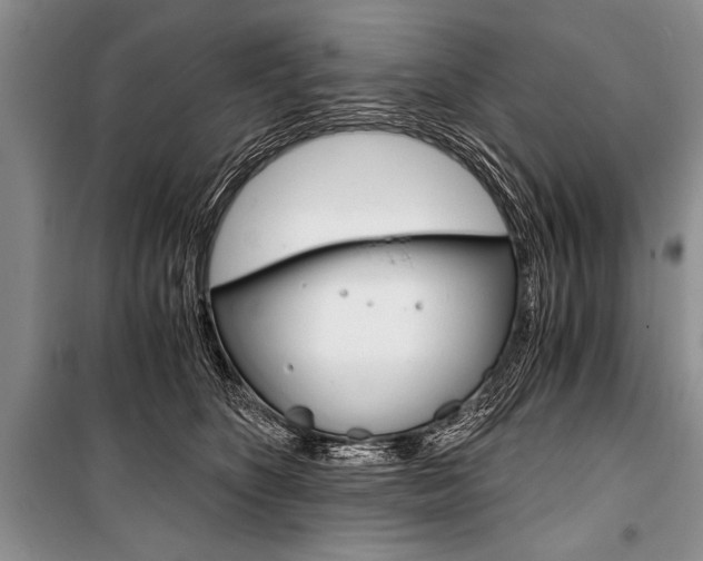 X0000101110516200806261112