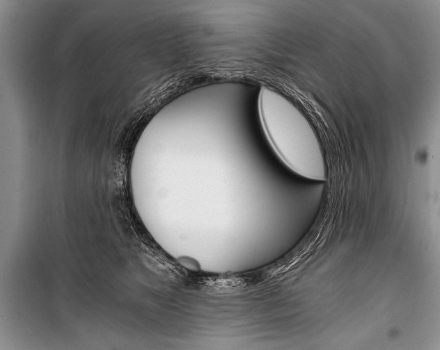 X0000101110517200806261112