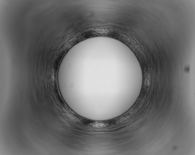X0000101110518200806261112