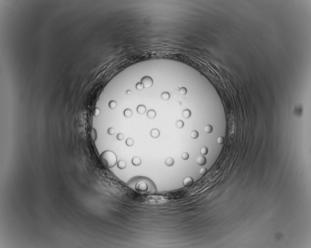 X0000101110519200806261112