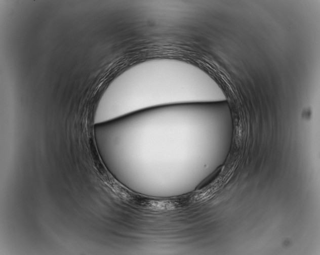 X0000101110520200806261112