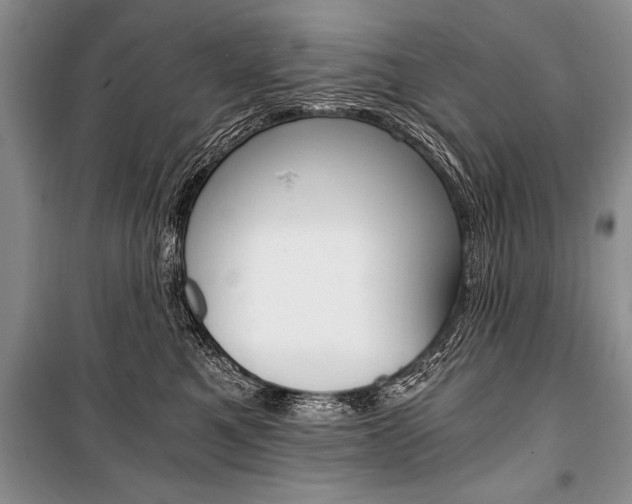X0000101110521200806261112