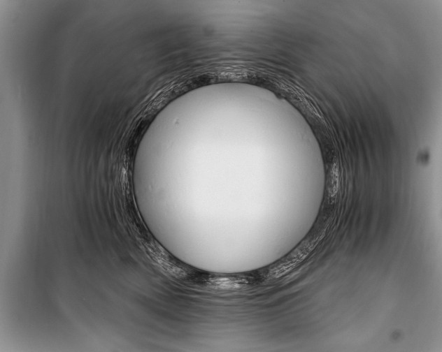 X0000101110522200806261112