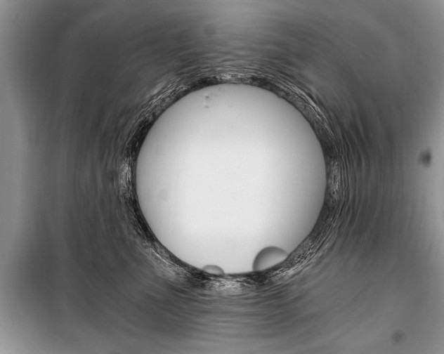 X0000101110523200806261112
