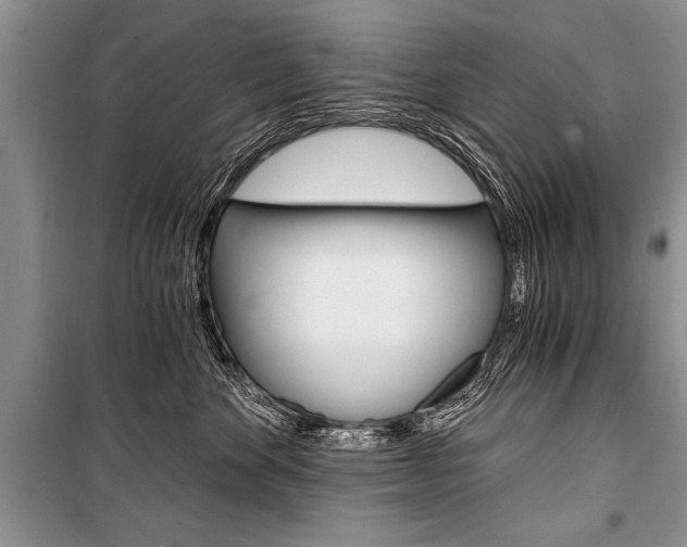 X0000101110524200806261112