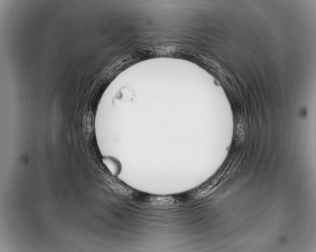 X0000101110525200806261112