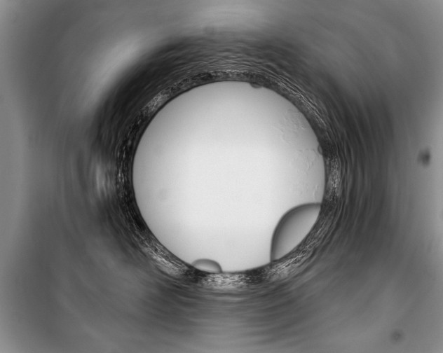 X0000101110526200806261112