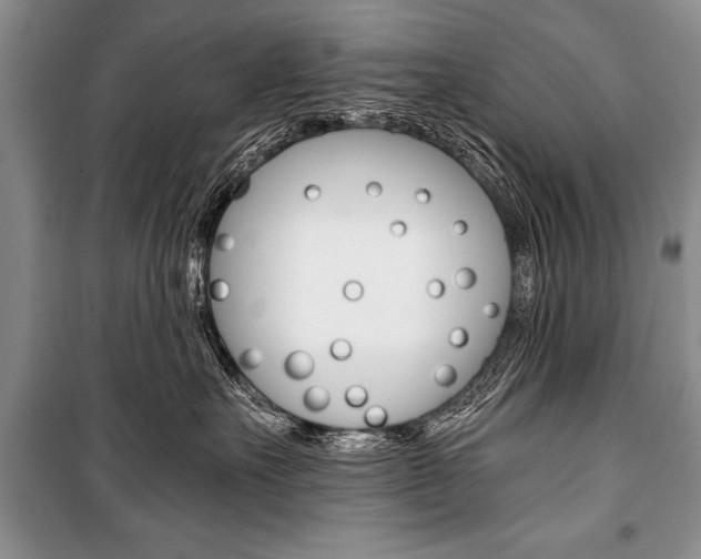 X0000101110527200806261112