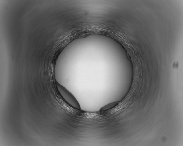 X0000101110528200806261112