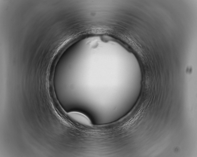 X0000101110530200806261111