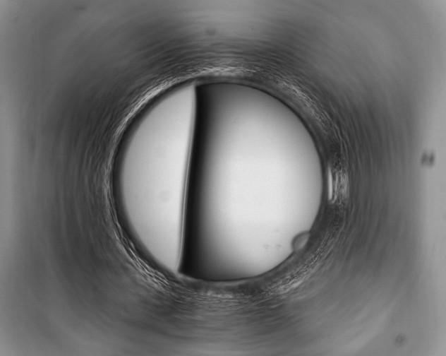 X0000101110531200806261111