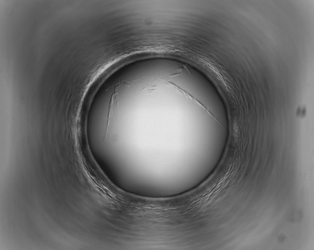 X0000101110532200806261111