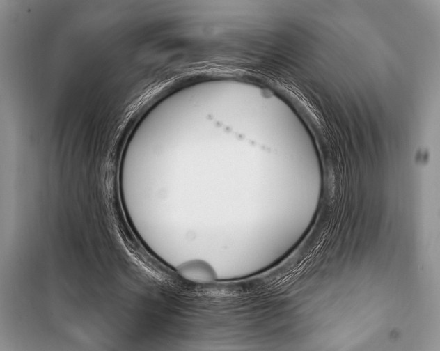 X0000101110533200806261111