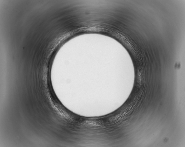 X0000101110534200806261111