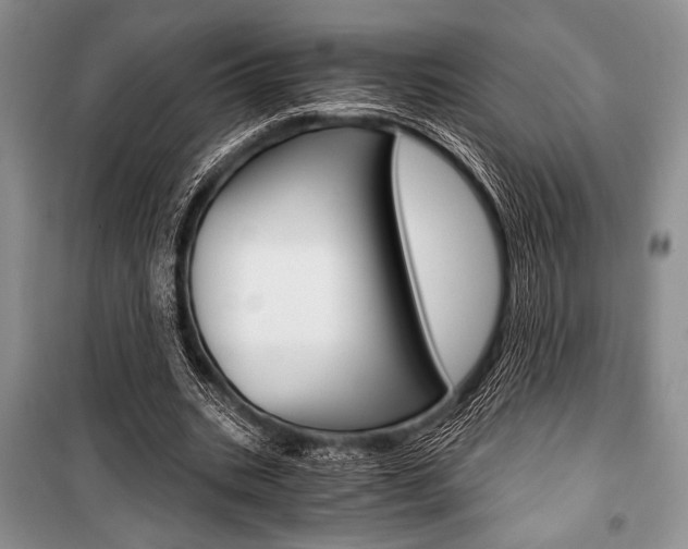 X0000101110535200806261111