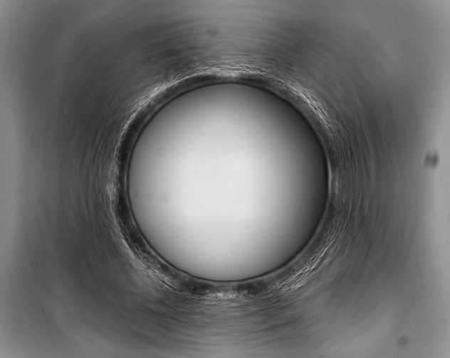 X0000101110540200806261111