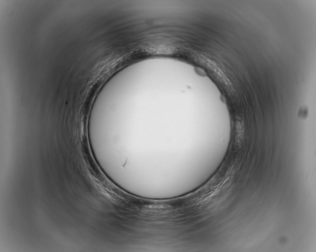 X0000101110541200806261111