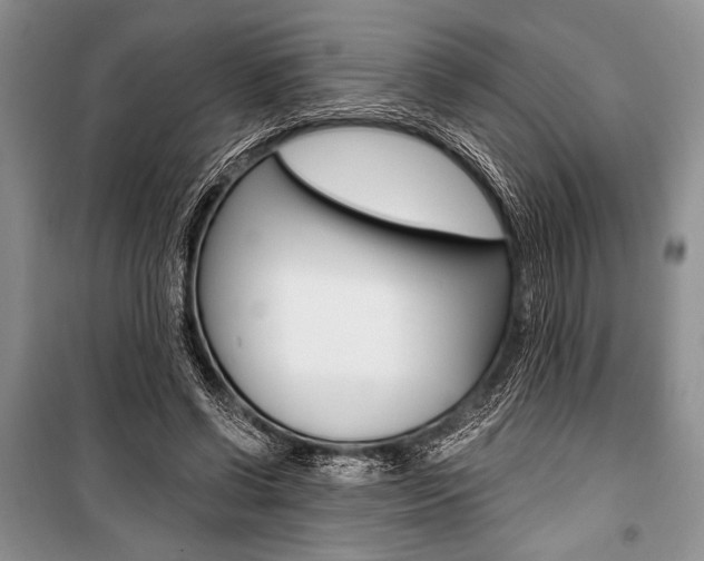 X0000101110542200806261111