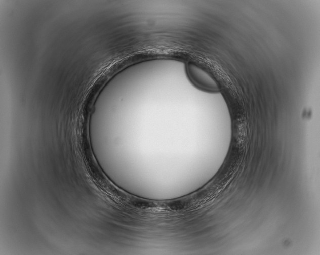 X0000101110544200806261111