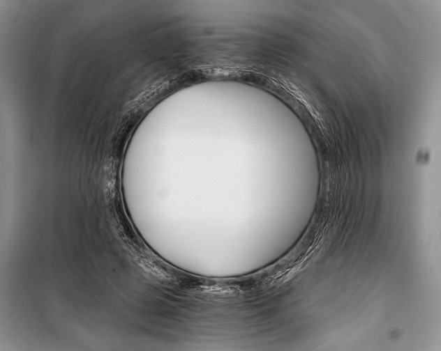 X0000101110545200806261111