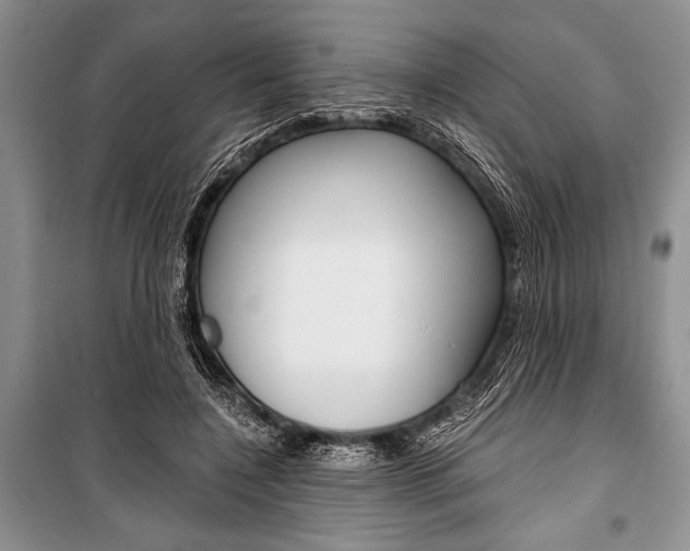 X0000101110548200806261111