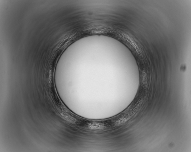X0000101110549200806261111