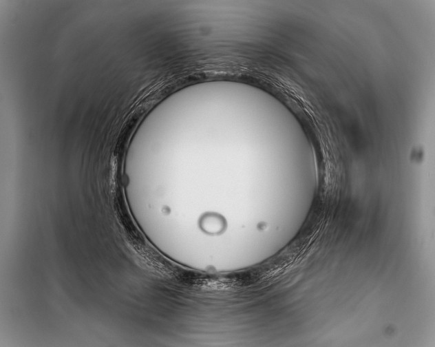 X0000101110550200806261111