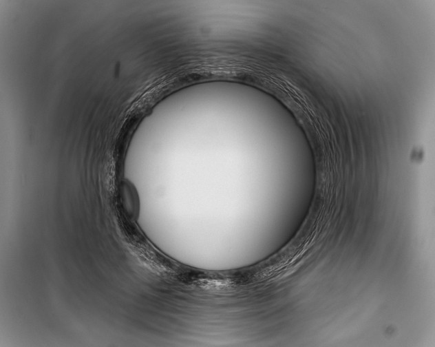 X0000101110552200806261111