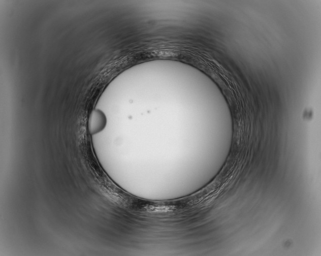 X0000101110553200806261111