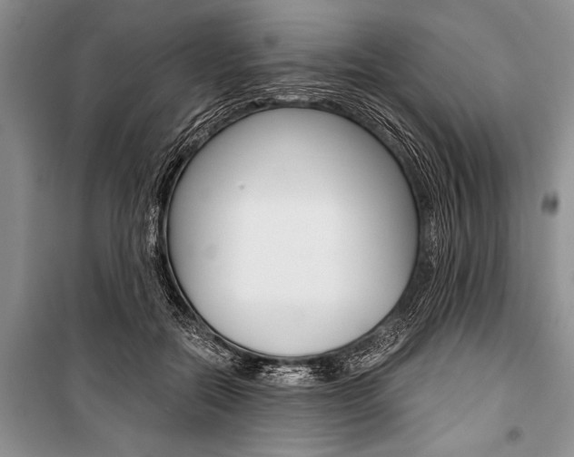 X0000101110554200806261111
