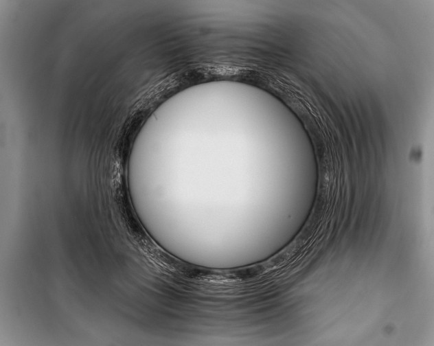 X0000101110555200806261111