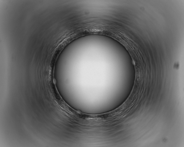 X0000101110556200806261111