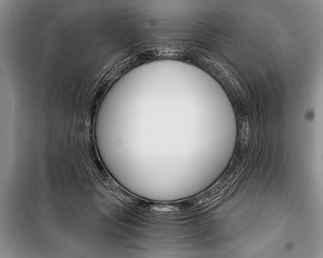 X0000101110557200806261111