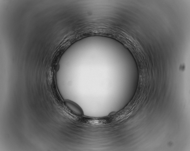 X0000101110558200806261111